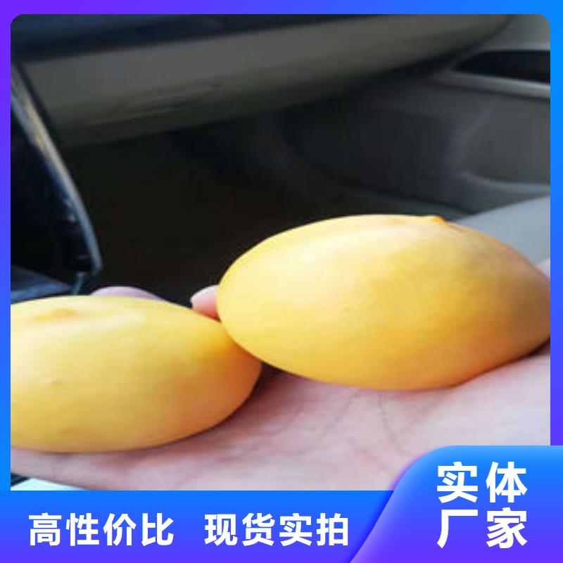 桃树苗 苹果苗一站式采购商