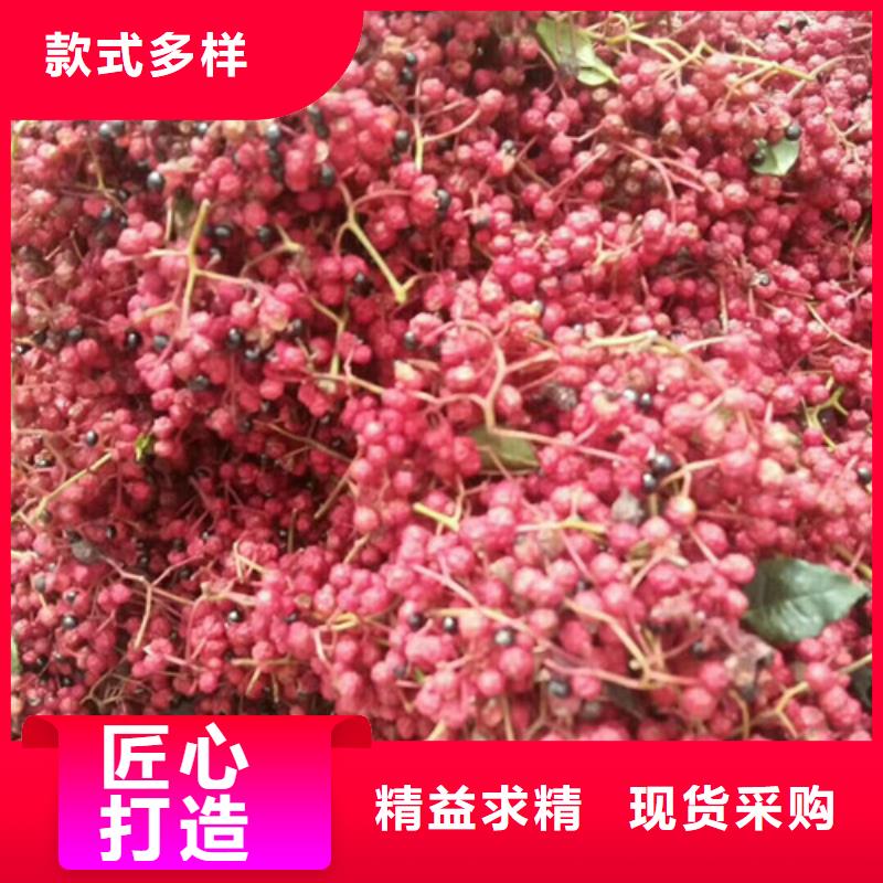 花椒苗梨树苗准时交付