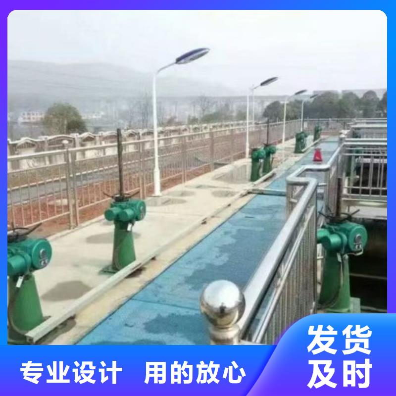 螺杆式启闭机,直联式启闭机好品质经得住考验