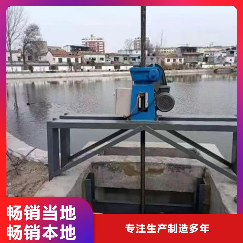螺杆式启闭机双吊点启闭机随心所欲定制