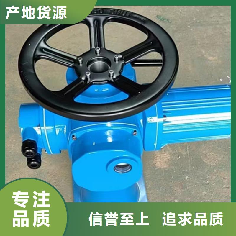 螺杆式启闭机双吊点启闭机货源报价