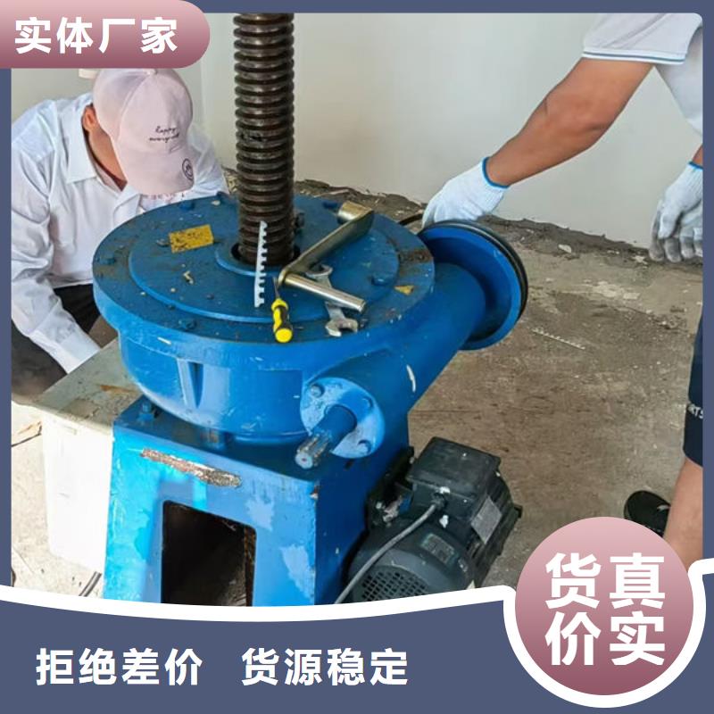 螺杆式启闭机,直联式启闭机好品质经得住考验