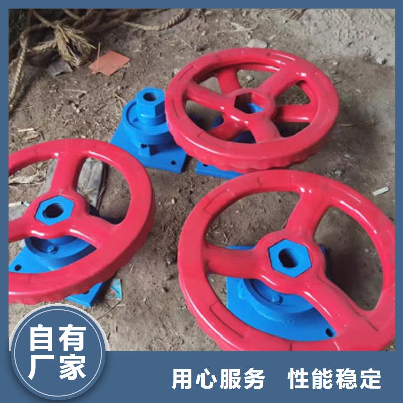 螺杆式启闭机启闭机闸门欢迎来电咨询