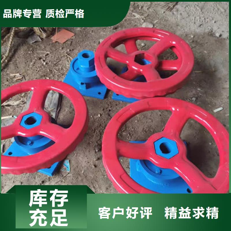 螺杆式启闭机,直联式启闭机好品质经得住考验