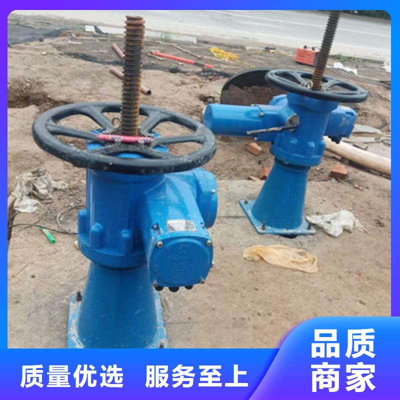 螺杆式启闭机电动头启闭机质优价廉