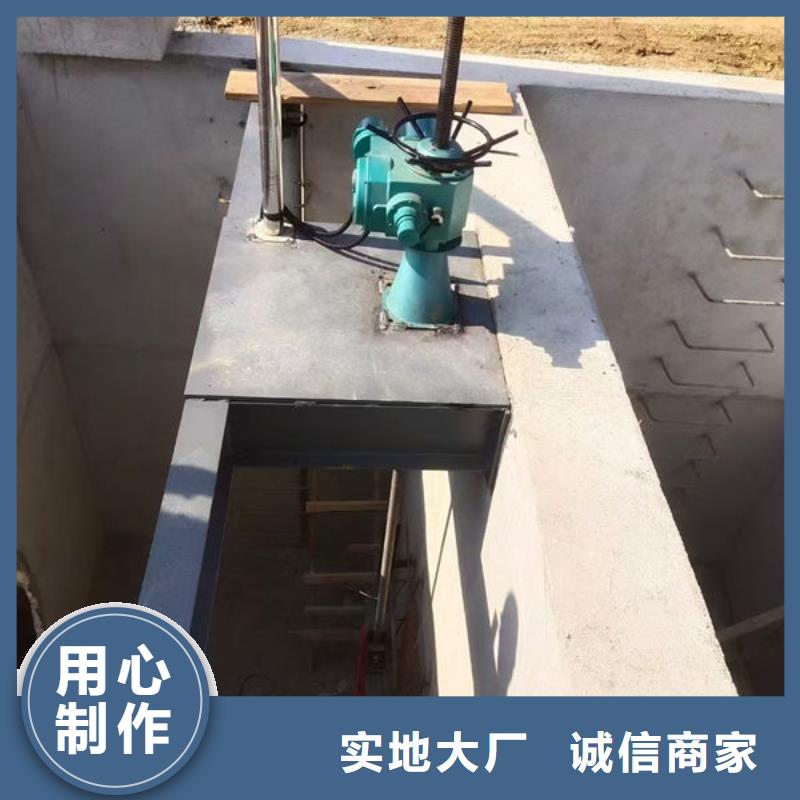 螺杆式启闭机,直联式启闭机好品质经得住考验