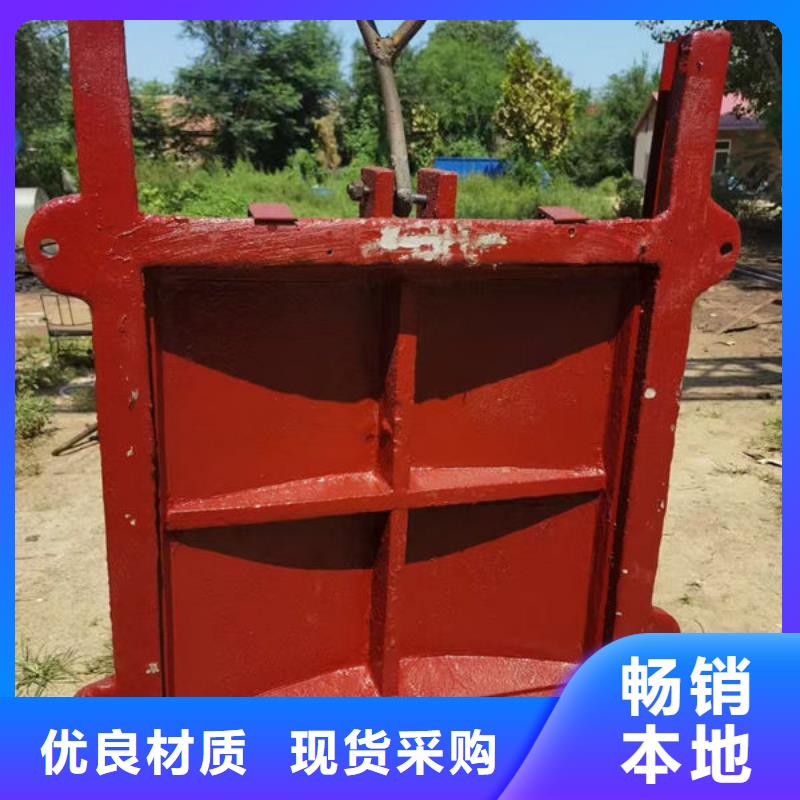 铸铁闸门,手提铸铁闸门欢迎新老客户垂询