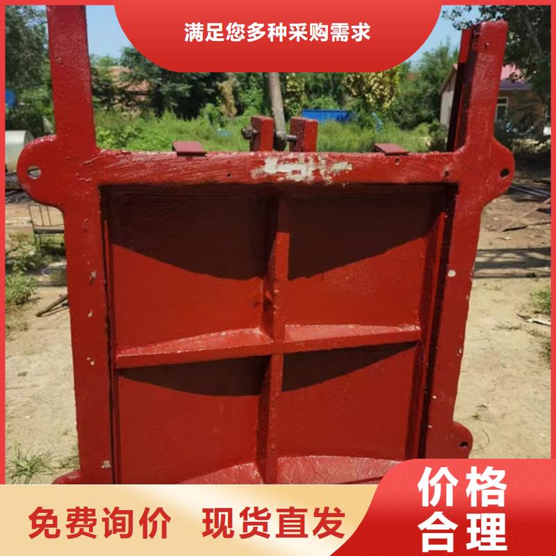 铸铁闸门扇形闸门专注细节专注品质