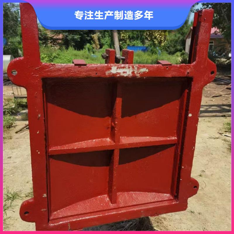 铸铁闸门_泵站铸铁闸门省心又省钱
