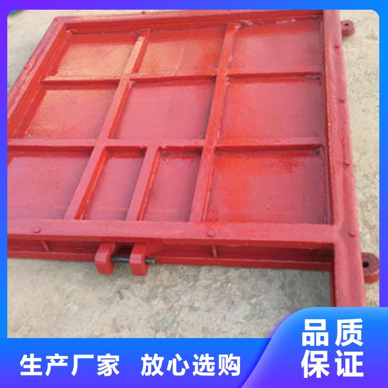 铸铁闸门,扇形闸门优选厂家