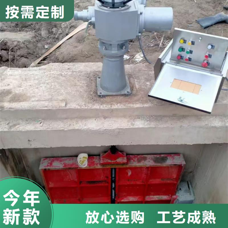 铸铁闸门河道铸铁闸门专注质量
