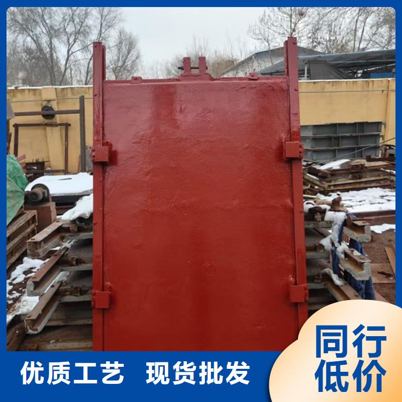 铸铁镶铜闸门SYZ800定制