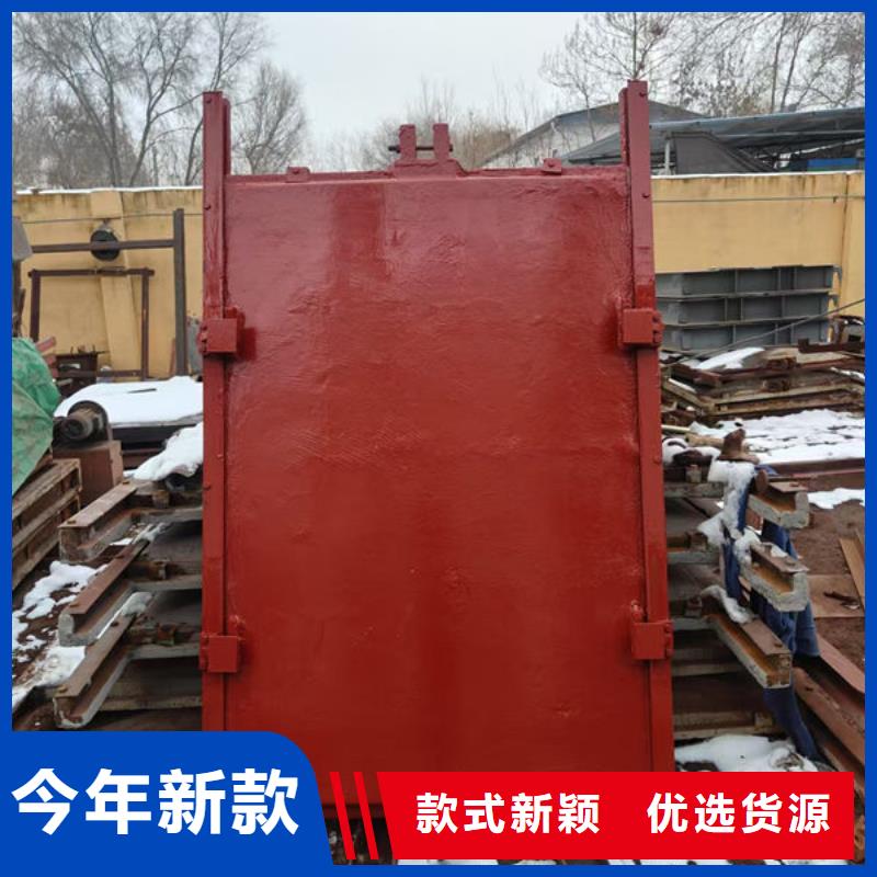复合闸门诚信厂家