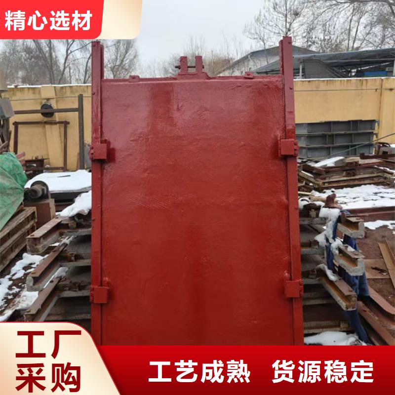 铸铁闸门镶铜铸铁闸门厂家采购