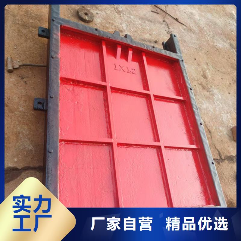 铸铁闸门河道铸铁闸门专注质量