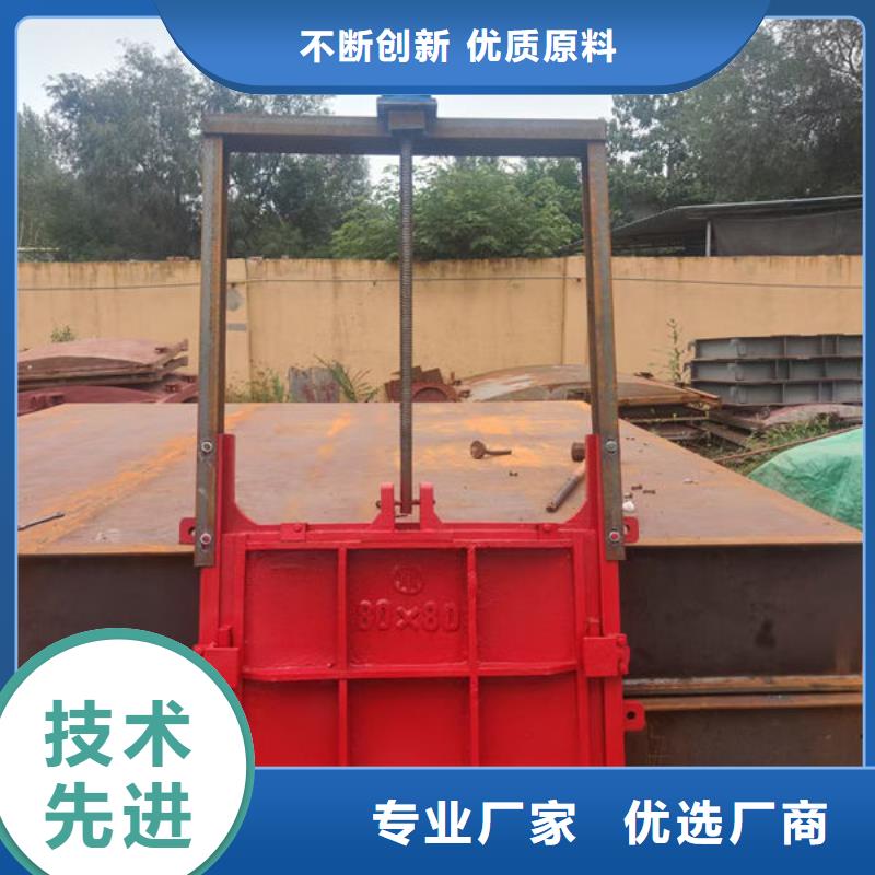 附壁式镶铜闸门销售