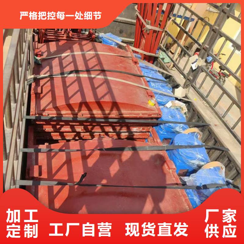 铸铁闸门扇形闸门专注细节专注品质