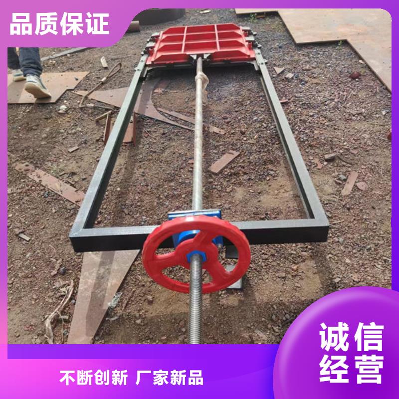 铸铁闸门双向止水闸门发货迅速