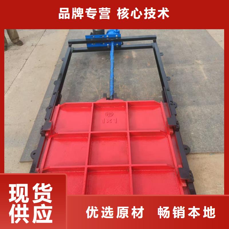 铸铁闸门,河道铸铁闸门保障产品质量