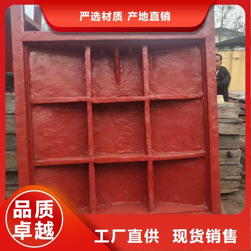 铸铁镶铜闸门生产厂家