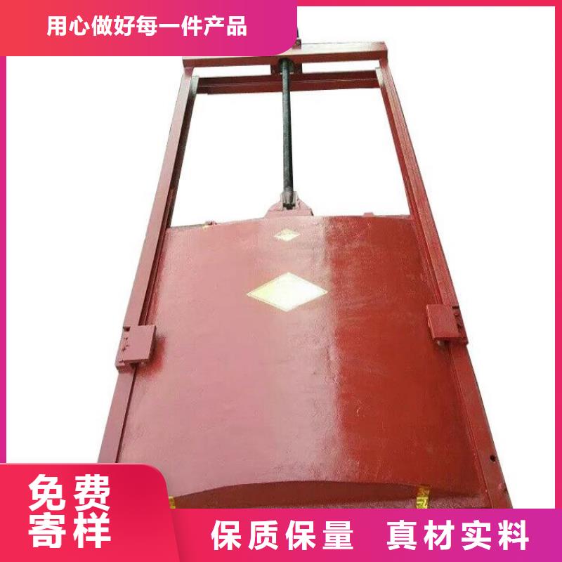 铸铁闸门-镶铜铸铁闸门诚信厂家