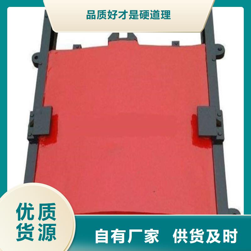 铸铁镶铜闸门报价厂家