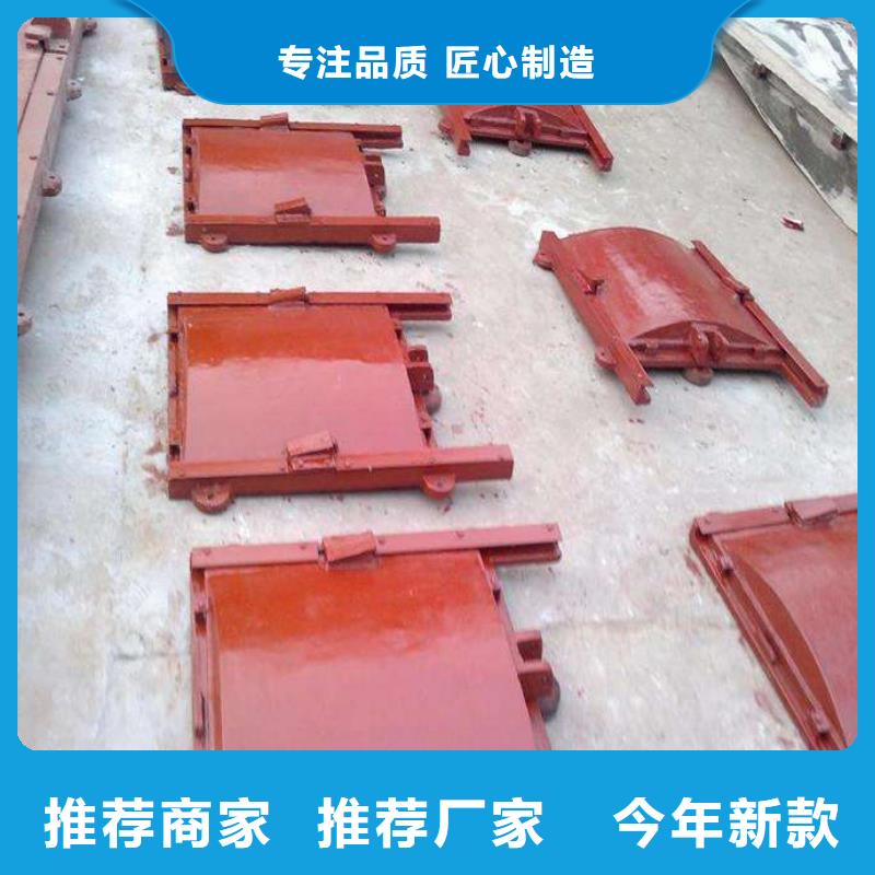 铸铁闸门镶铜铸铁闸门保质保量