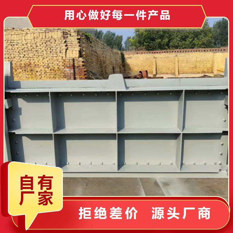 钢坝闸门合页钢坝全新升级品质保障