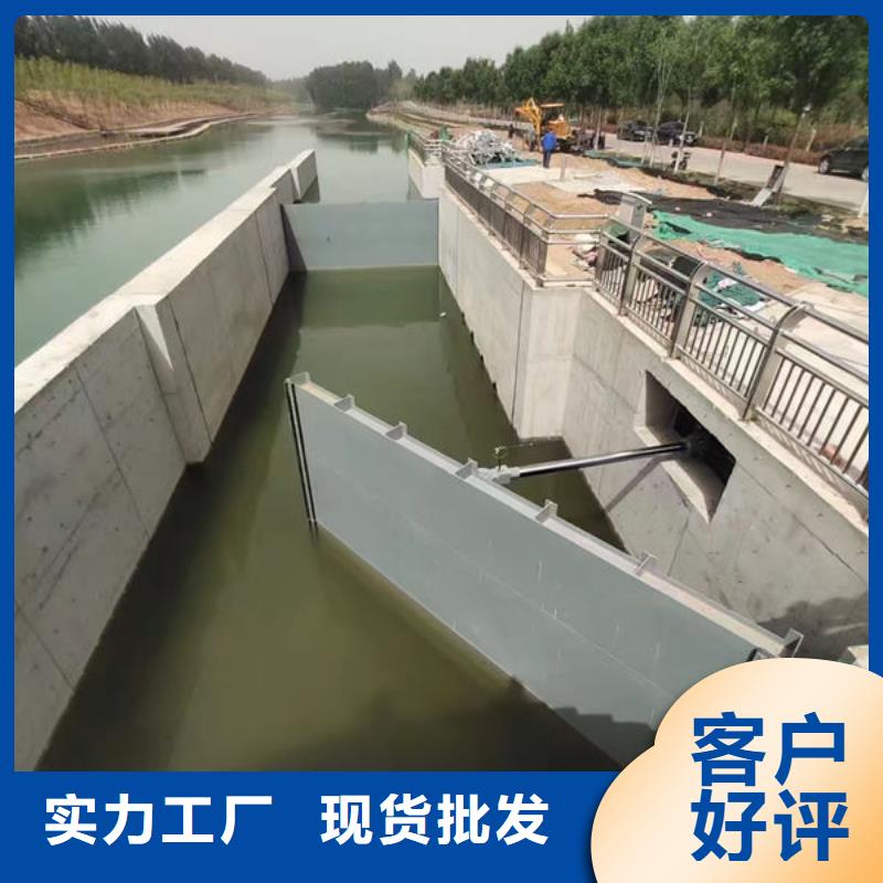 钢坝闸门合页钢坝实力优品