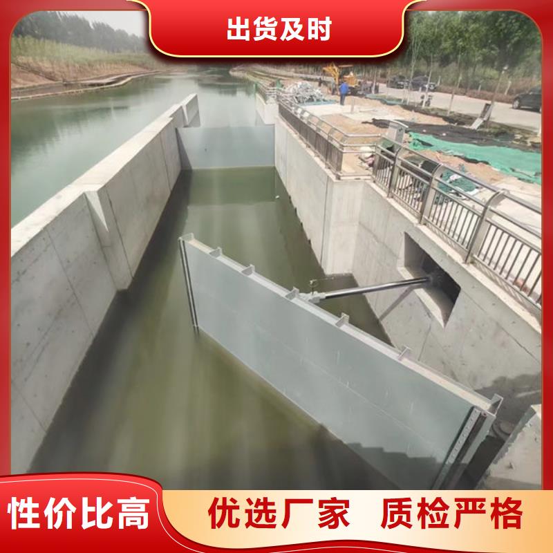 钢坝闸门翻板闸门严选好货