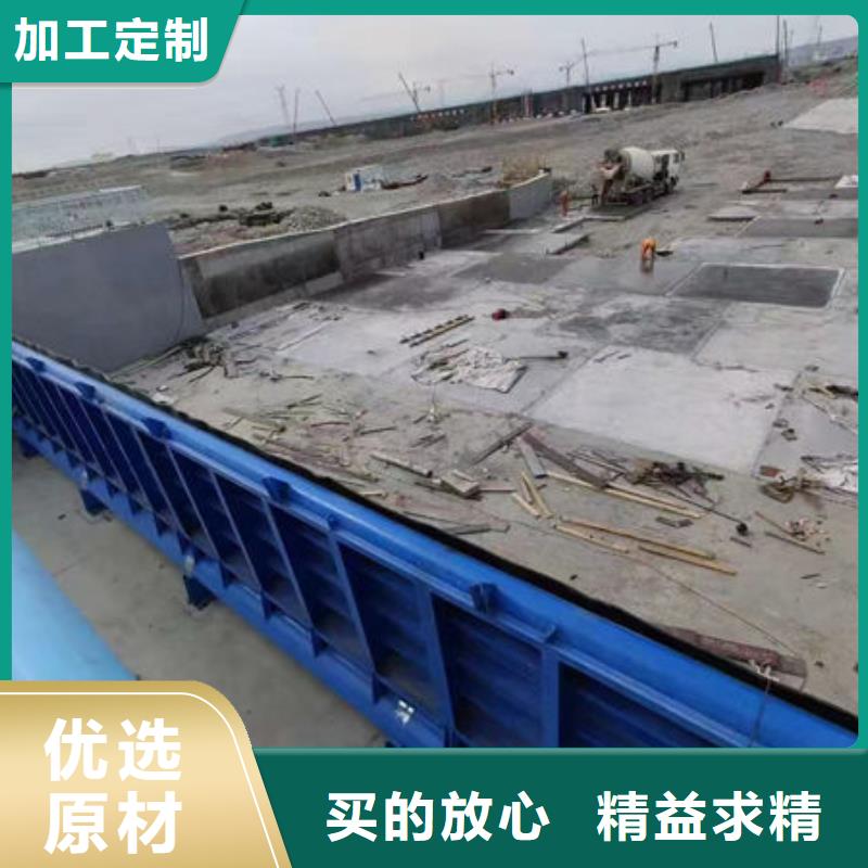 钢坝闸门合页钢坝多年行业经验