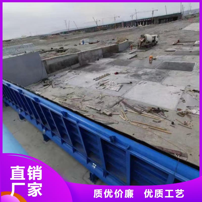 钢坝闸门,叠梁门欢迎来厂考察