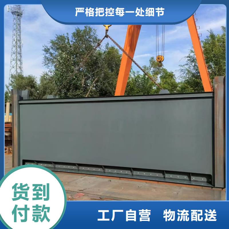 钢坝闸门翻板闸门严选好货