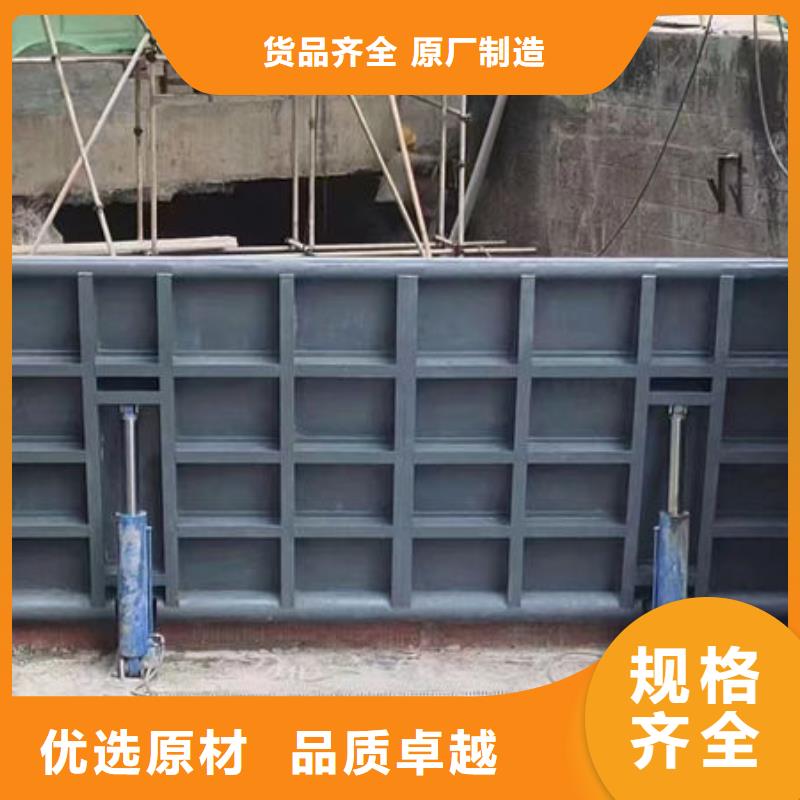 钢坝闸门,叠梁门欢迎来厂考察