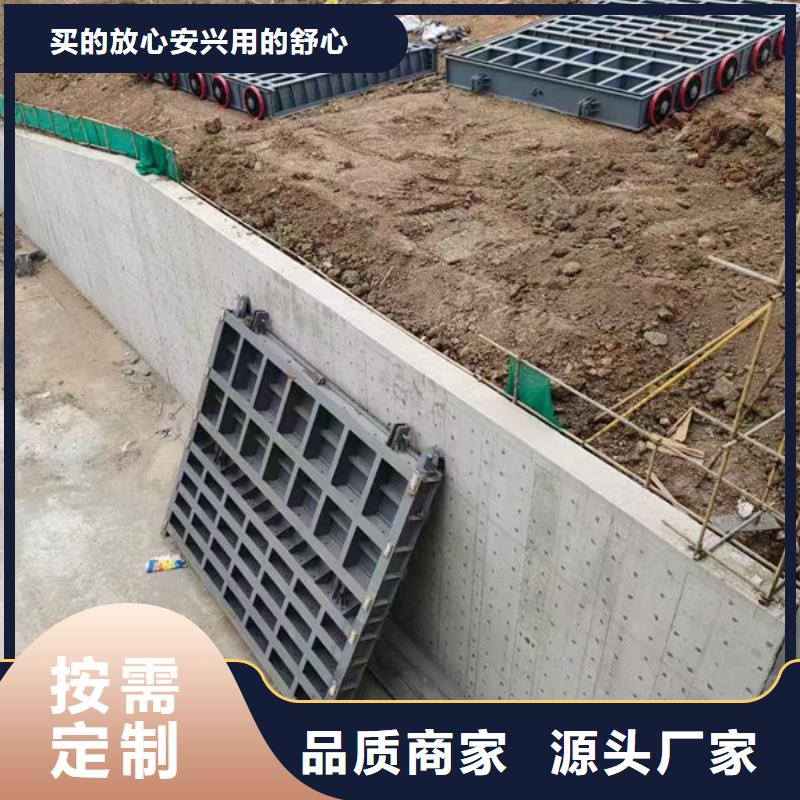 钢坝闸门-翻板闸门可定制有保障