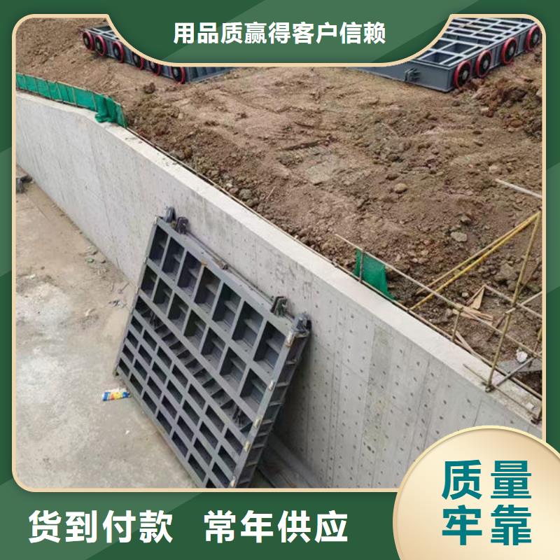钢坝闸门叠梁门售后无忧