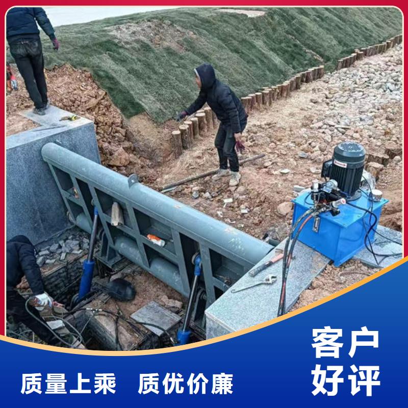 钢坝闸门叠梁门品牌大厂家