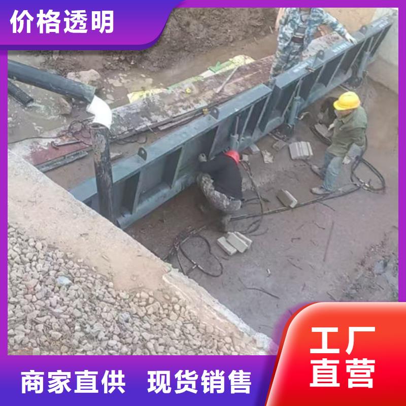 钢坝闸门翻板闸门严选好货