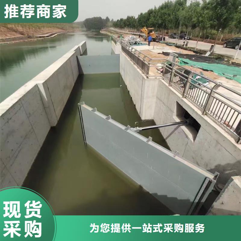 钢坝闸门底轴液压闸门品类齐全