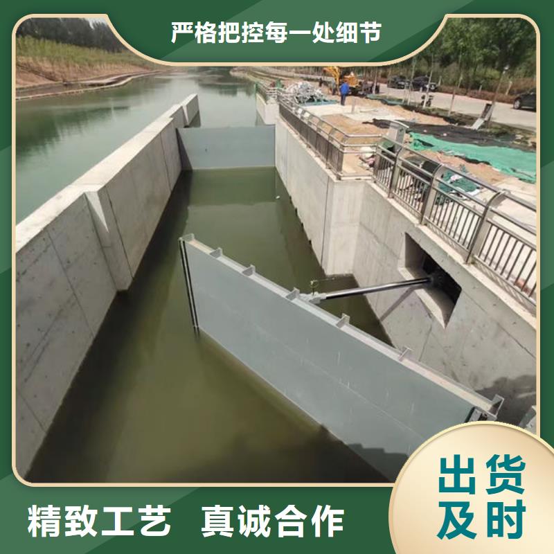 钢坝闸门景观钢闸门敢与同行比质量
