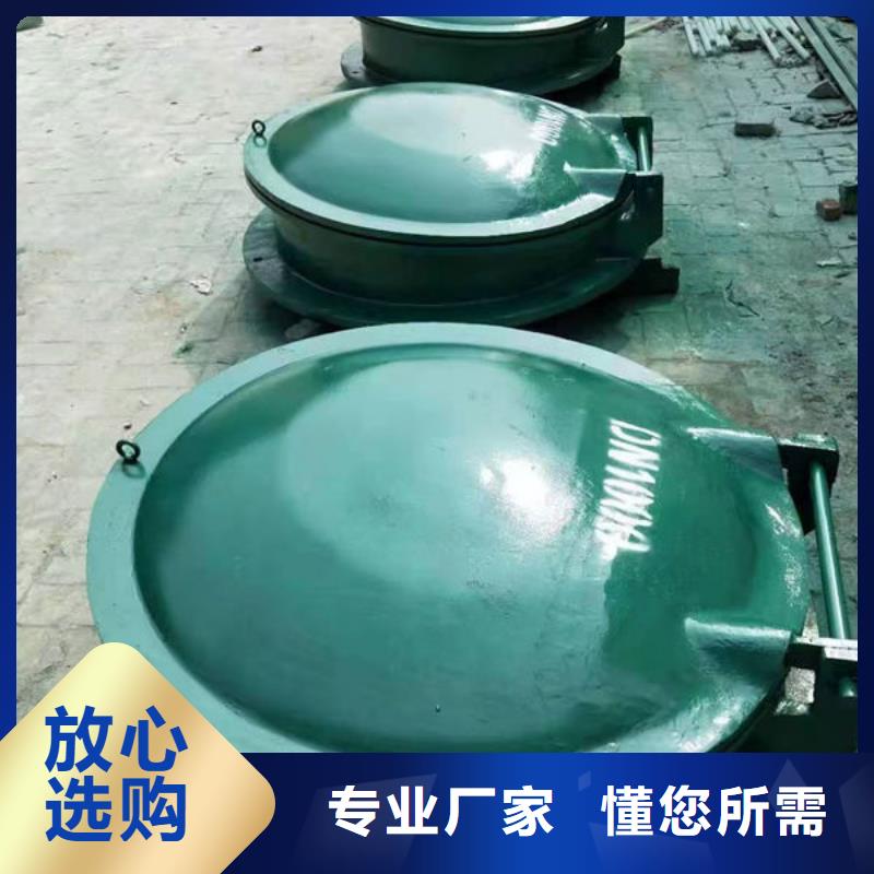 拍门,铸铁拍门好品质用的放心