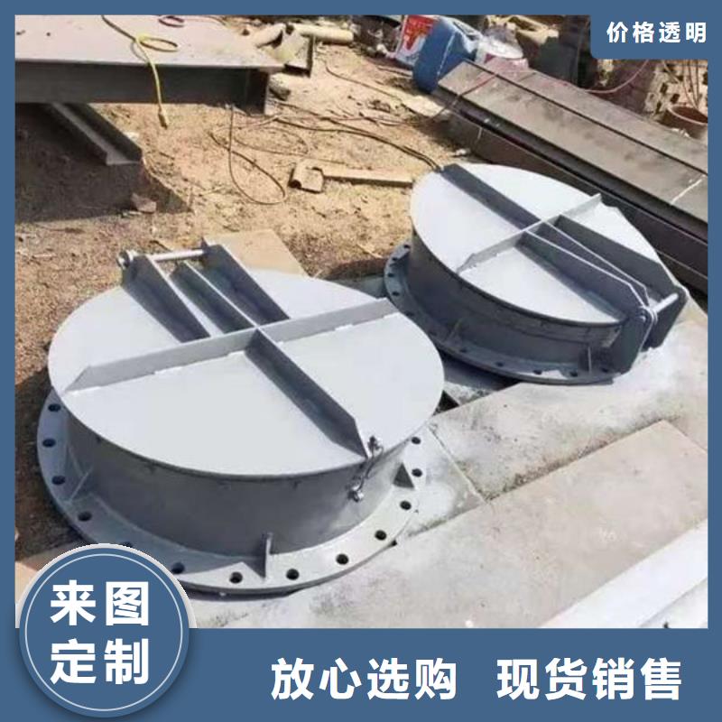 拍门球墨铸铁拍门规格齐全