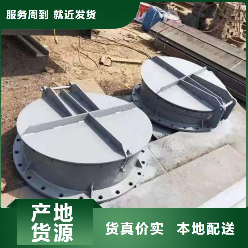 拍门,防倒灌拍门本地配送