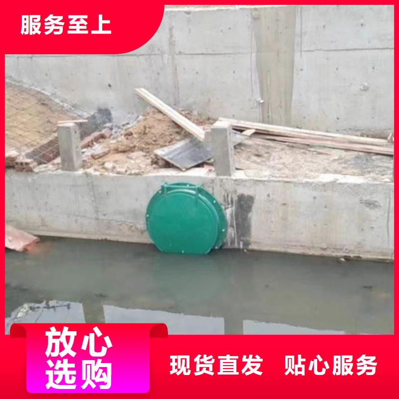 拍门_钢拍门专业设计