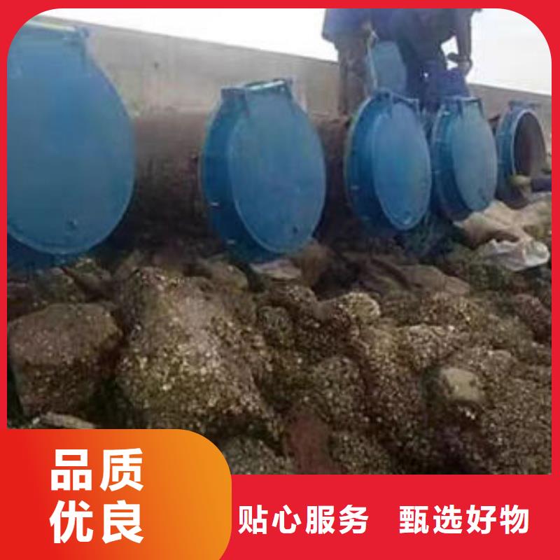 拍门钢拍门快捷的物流配送