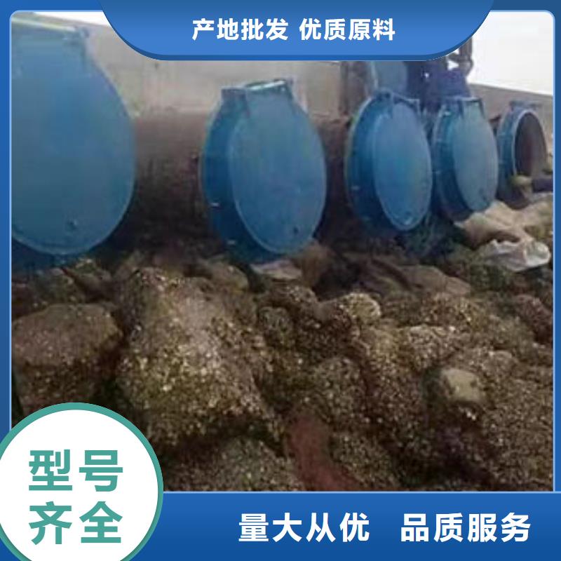 拍门铸铁拍门欢迎来厂考察