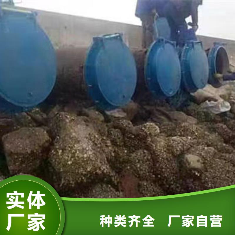拍门圆拍门现货销售