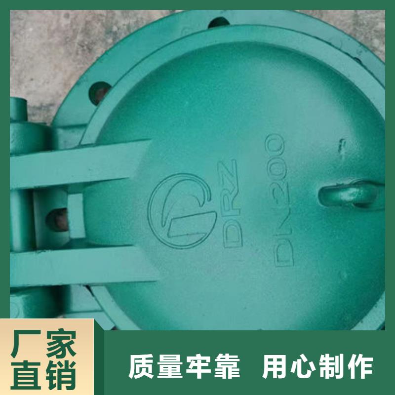 拍门球墨铸铁拍门诚信商家服务热情
