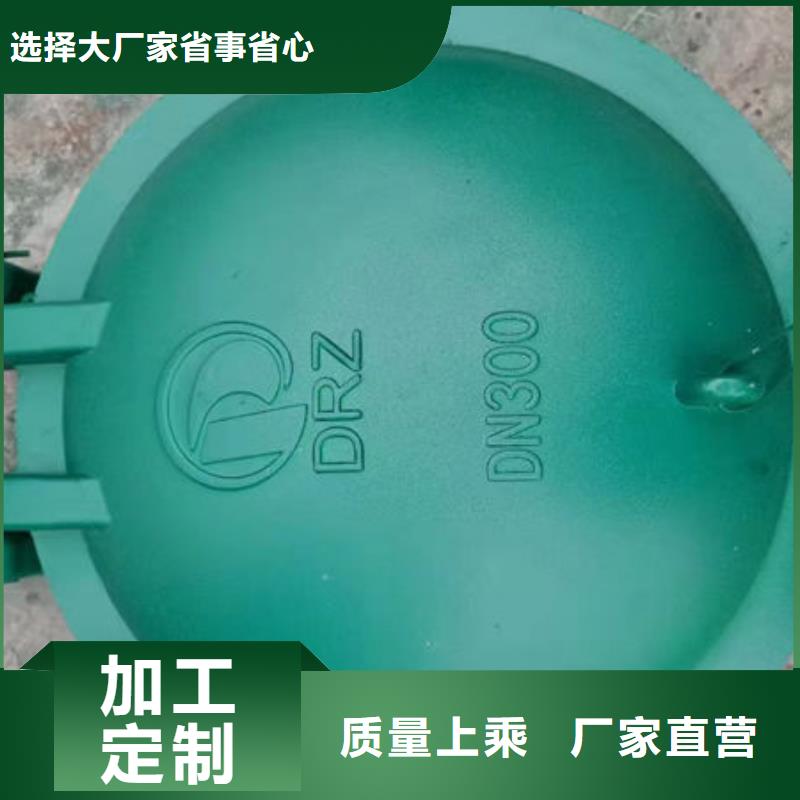 拍门球墨铸铁拍门价格公道合理