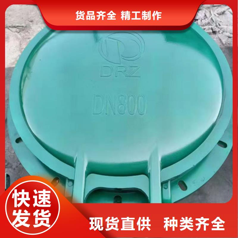 拍门_钢制拍门懂您所需